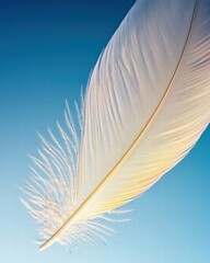 Fototapeta premium Delicate feather floating gracefully against a clear blue sky evoking a sense of freedom and peace