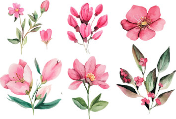 watercolor set of pink flowers