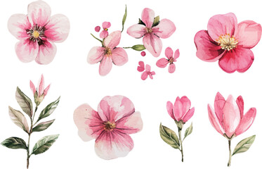 Fototapeta premium watercolor set of pink flowers