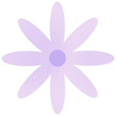 pink flower isolated on white