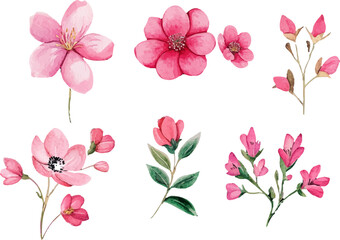 set of pink flowers