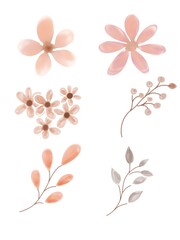 vector illustration of a cherry blossom