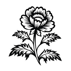 Black and White Blossom Blooming Flower with Detailed Leaves and Stem Outlines Design