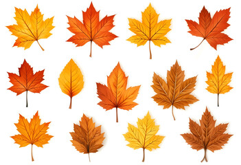 Maple Leaves in Random Place Repeatable Pattern Design, Design Elements, Isolated On A White Background