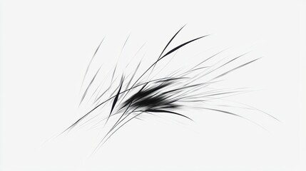 Fototapeta premium Abstract Black and White Design