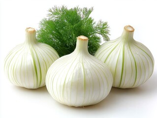 Obraz premium Fresh White Onions with Dill