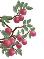 red apple tree