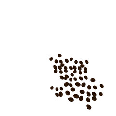 Illustration of coffee beans
