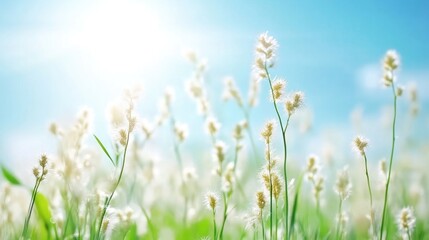 Wildflowers Green Field Bright Sunny Style High-resolution Landscape Shallow Depth of Field Spring Renewal Blue Sky Soft Pastel Tones Ideal for Calming Imagery