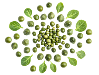 Capers Harvested from the Plant