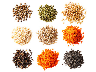  Carrot Seeds Ready for Planting