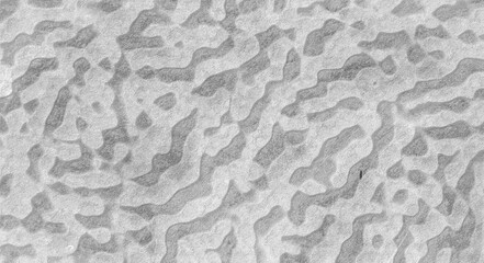 Soft wavy lines background in light gray tones, giving a calm and natural feeling. The surface has a fine texture like sand or terrazzo. For simple, natural, minimalist designs, prints, posters.