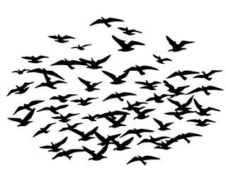 Fototapeta premium Elegant flock of birds flying in a perfect V formation across a golden sunrise sky, minimalist vector