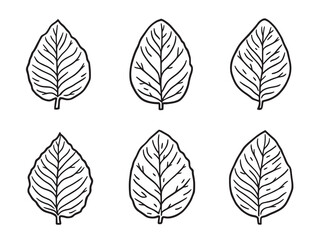 Mango leaf vector line art illustration
