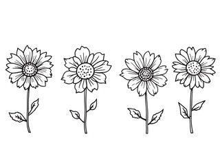 Moonflower vector line art illustration