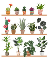 Set of different house plants in colorful hand made ceramic pots. Collection of indoor plants. Decorative natural elements for home decor. Vector illustrations isolated on white background.