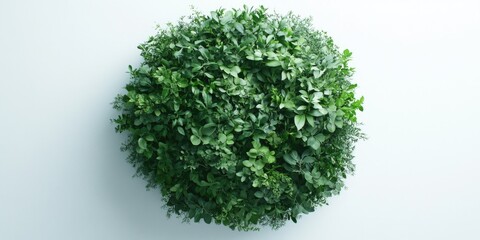 Fototapeta premium A high-resolution image showcasing a lush, healthy green plant in a decorative pot against a neutral background. The plant exhibits vibrant green leaves, indicating good care and growth. This type of