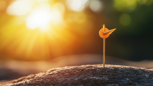 Target and Pin Target with a pin and a radius indicator, focus on range and proximity