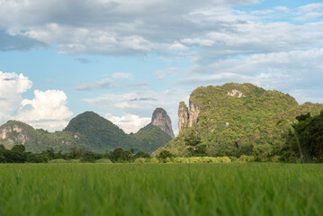 Green field with lush mountains under a cloudy blue sky, Nature Landscape.
