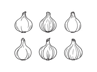 Onion vector line art illustration