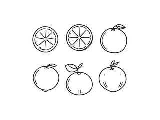 Orange vector line art illustration