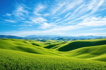 Obraz premium Landscape, sky, grass, green, blue, field, summer, 