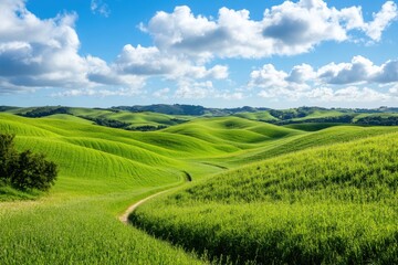 Obraz premium landscape, sky, grass, green, blue, field, summer, 