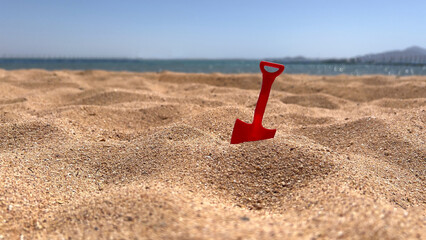 A beach paddle is an indispensable tool for creating sand castles and playing on the beach. This is a simple but functional device that helps children and adults create real works of art out of sand.