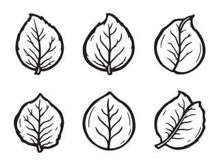Peach leaf vector line art illustration