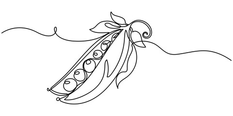 Continuous one single line drawing of snap pea in silhouette on a white background. Linear stylized, snap pea continuous one line drawing, Continuous line drawing of Sugar snap peas.