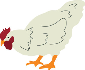 Graceful Poultry Bird Illustration 3