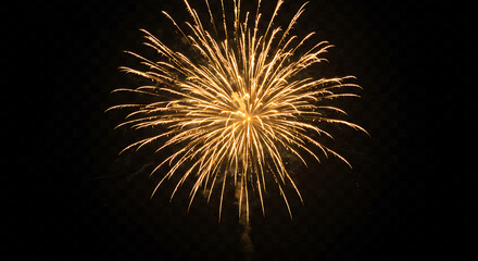 Obraz premium Bright golden radiating firework explosion against a dark night sky, concept for celebration events, holiday greetings and festive occasions