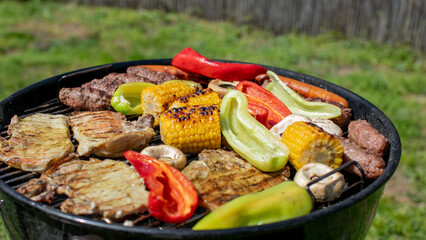 Grilled meats and vegetables on outdoor barbecue, summer picnic celebration, American cuisine, family gathering, delicious party feast