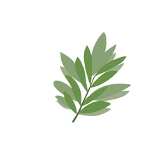 "Nature's Leaf Vector Artwork Free