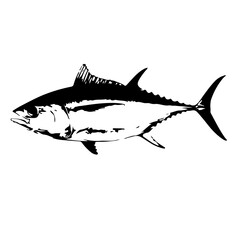 fish on a white background