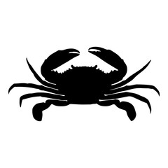 crab isolated on white background