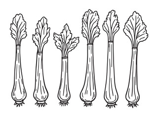 Rhubarb vector line art illustration