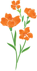 Naklejka premium bouquet of orange flowers