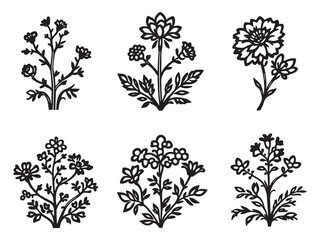 Russelia vector line art illustration