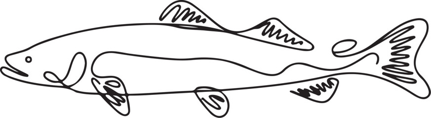A minimalist vector illustration of a sturgeon fish in continuous line art drawing style, featuring a single black line on a white background
