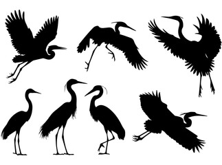 Heron bird silhouette 