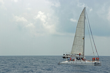 Naklejka premium Catamaran Sailing Adventure on the Open Sea 