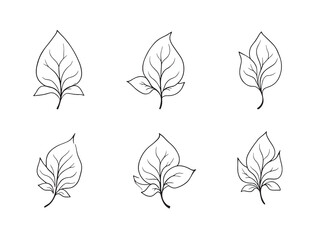 Snowbell Leaf vector line art illustration