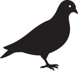 vector illustration of a pigeon