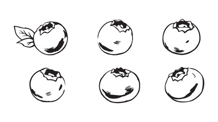 Blueberry set line art