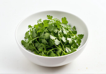 Fresh green coriander in bowl isolated on white background. High definition food ingredient for garnishing cinematic capture