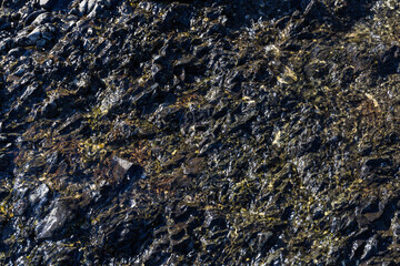 water surface texture