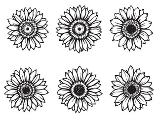 Sunflower vector line art illustration