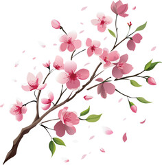 Pink cherry blossom on a tree branch shows the beauty of spring with its floral bloom
