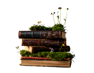 Old Books Reborn: A Delicate Tower of Knowledge Blooming with Nature's Embrace
